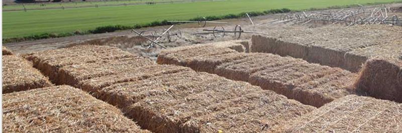 Hay Boss - supplier and manufacturer from 미국