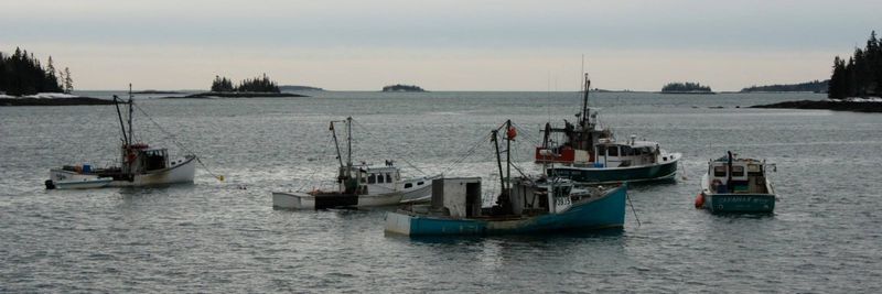 Community Shellfish - supplier and manufacturer from United States