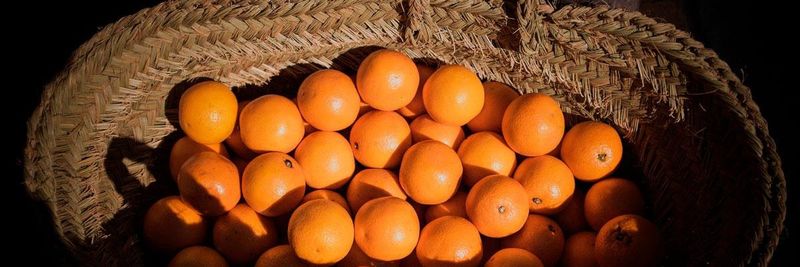 ORANGES ONLINE - NARANJAS QUIQUE - supplier and manufacturer from 스페인