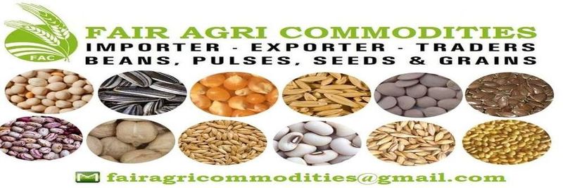 Fair Agri Commodities - supplier and manufacturer from 파키스탄