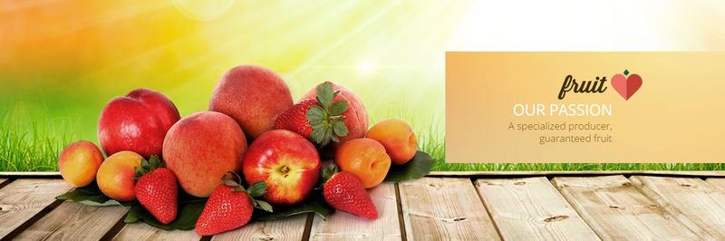 Agro Martin SL - supplier and manufacturer from Spain