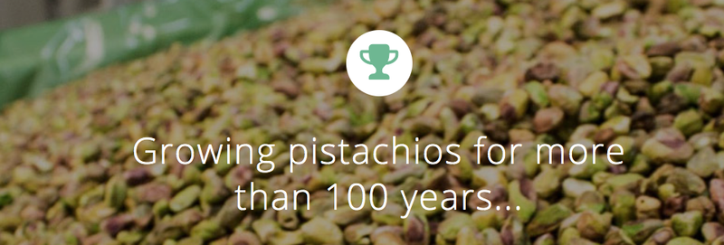 RASHA PISTACHIO CO. - supplier and manufacturer from Iran