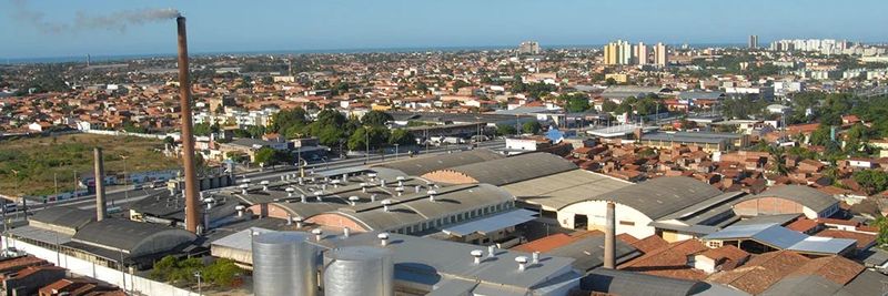Cione - Companhia Industrial de Óleos do Nordeste - supplier and manufacturer from 브라질
