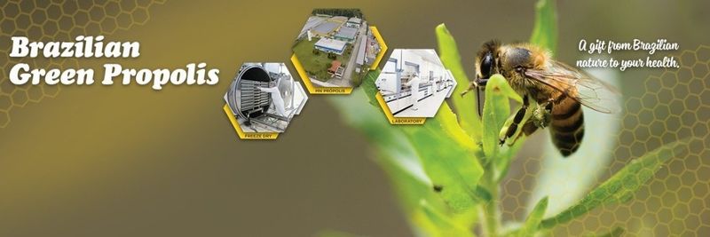 MN PROPOLIS INDUSTRIA COMERCIO E EX - Verified supplier and manufacturer from 브라질