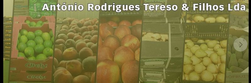 ANTÓNIO RODRIGUES TERESO & FILHOS, LDA - supplier and manufacturer from Portugal