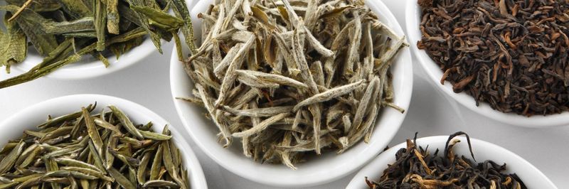 THE CHA YUAN INTERNATIONAL - supplier and manufacturer from 프랑스