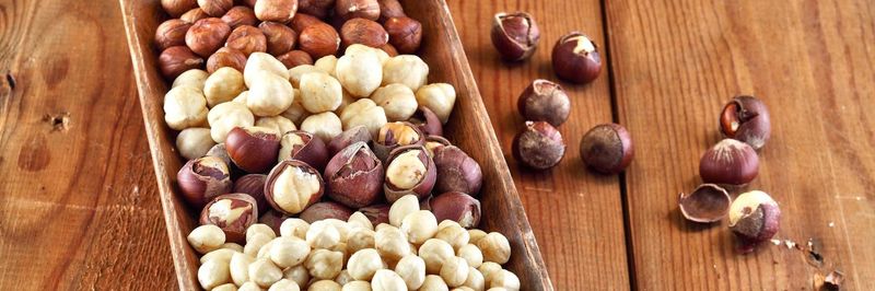 Gursoy Gida - supplier and manufacturer from Turkiye