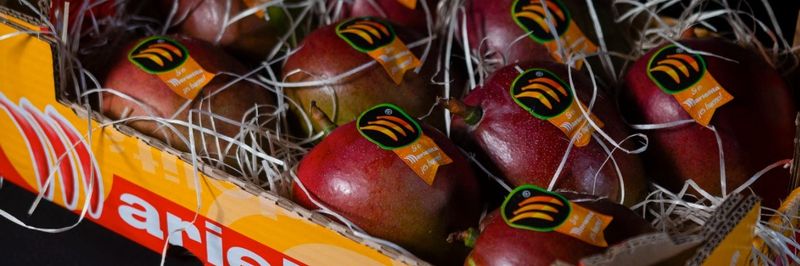 PLATANOS LOPEZ, S.A. - supplier and manufacturer from 스페인