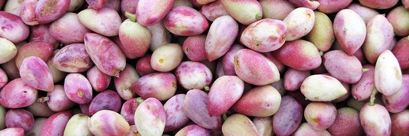 The Pistachio Co Food Trading LLC. - supplier and manufacturer from 아랍 에미리트 연합국