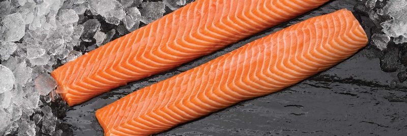 Skagerak Salmon - supplier and manufacturer from 덴마크