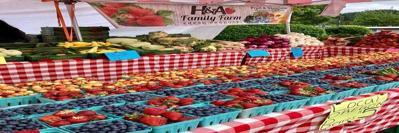 Hillsdale Farmers Market - supplier and manufacturer from 미국