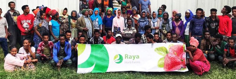 Raya Horti Farm - supplier and manufacturer from Ethiopia