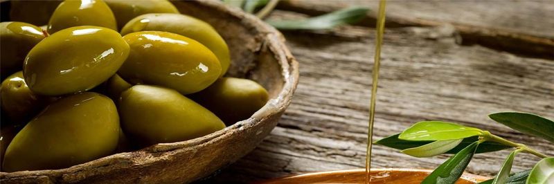 Greek Agora Ltd - supplier and manufacturer from 그리스