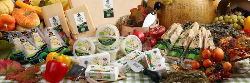 Casearia di Sant’Anna - supplier and manufacturer from 이탈리아