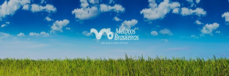 Melacos Brasileiros Ltda. - supplier and manufacturer from 브라질