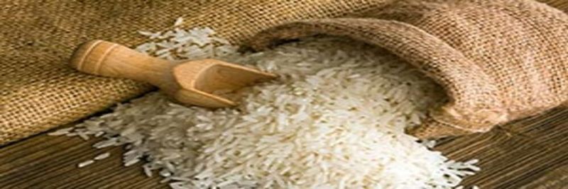 Vaidika Group - supplier and manufacturer from 벨기에