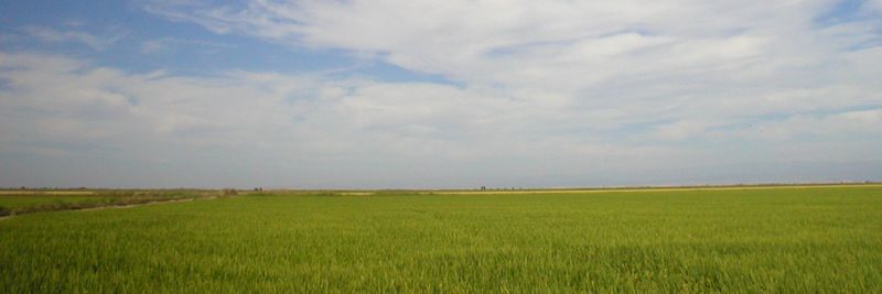PROTECTA COMERCIO DE PRODUTOS AGROPECUARIOS EIRELI - supplier and manufacturer from 브라질
