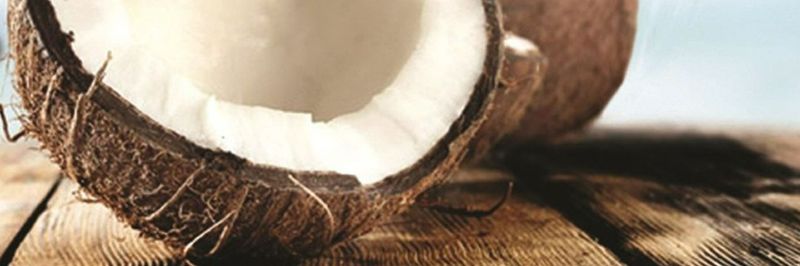 CV. Elvatara Indojaya - supplier and manufacturer from 인도네시아