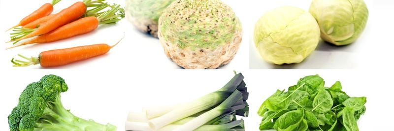Verduyn - supplier and manufacturer from 벨기에