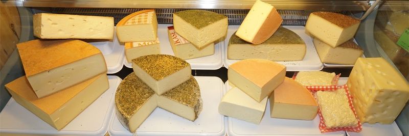 Käse Theke - supplier and manufacturer from 독일