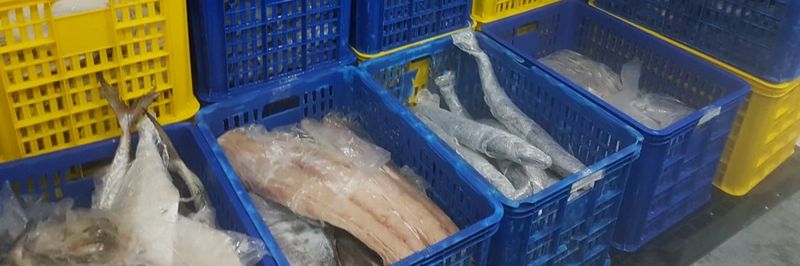 CV. Erinda - supplier and manufacturer from Indonesia