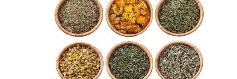 HERBS EGYPT - supplier and manufacturer from Egypt