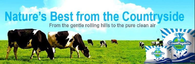 Countryside Dairy Ltd - supplier and manufacturer from 케냐