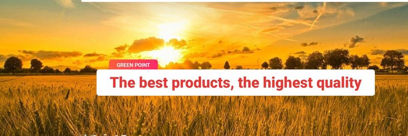 Green Point Holding inc - supplier and manufacturer from 캐나다