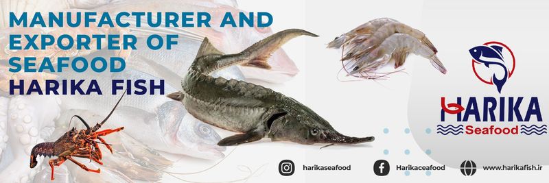 HarikaSeafood - supplier and manufacturer from 이란
