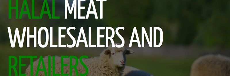 Leansale Limited - supplier and manufacturer from 영국