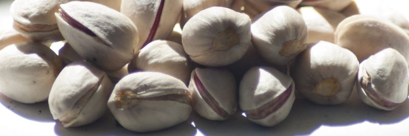 PISTACHOS DE LA MANCHA, S.L. - supplier and manufacturer from Spain