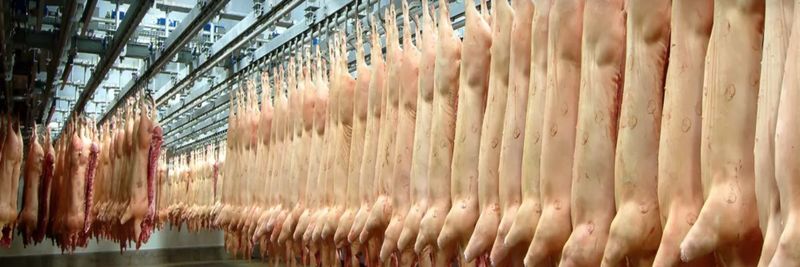 Groep De Brauwer - supplier and manufacturer from Belgium