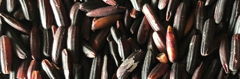 Yellow Submarine Foods - supplier and manufacturer from 남아프리카공화국