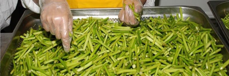 Premium Foods Usa Inc. - supplier and manufacturer from 미국