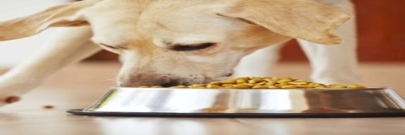 Unique Agro-vet Inds. - supplier and manufacturer from India