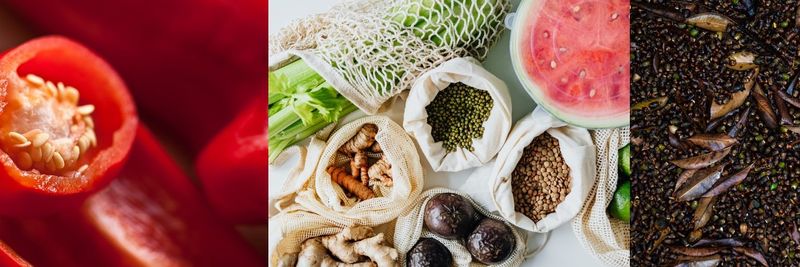 Haji Sons - supplier and manufacturer from 파키스탄
