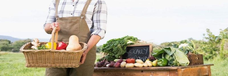 BÉLAND ORGANIC FOODS - supplier and manufacturer from 캐나다