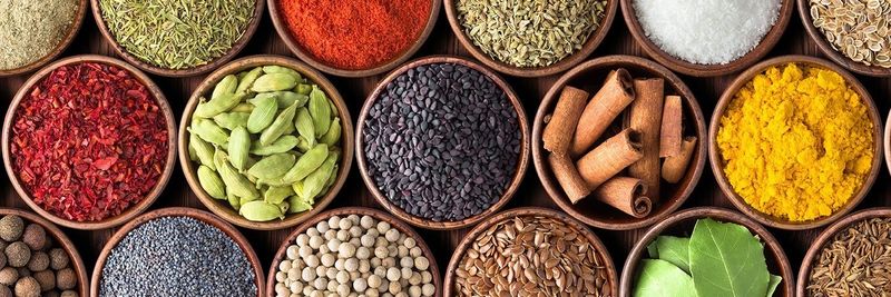 Sapna Foods - supplier and manufacturer from 미국