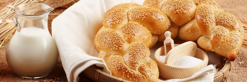 SevEsilZerno, TOO - supplier and manufacturer from 카자흐스탄