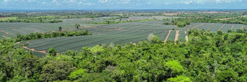 Productos Agropecuarios VISA S.A. - supplier and manufacturer from Costa Rica