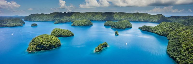 Huanan Fishery (Samoa) Co., Ltd. - supplier and manufacturer from 사모아