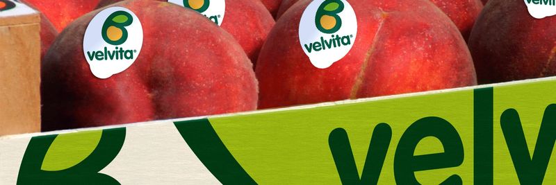 Velvita by ASEPOP VELVENTOS - supplier and manufacturer from 그리스