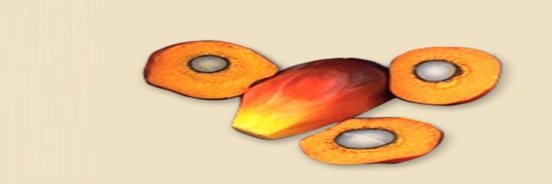 New Britain Palm Oil Limited - supplier and manufacturer from Papua New Guinea