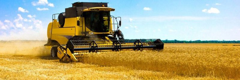 Agro-industrial Group of Companies «Dneprovskaya» - supplier and manufacturer from 우크라이나