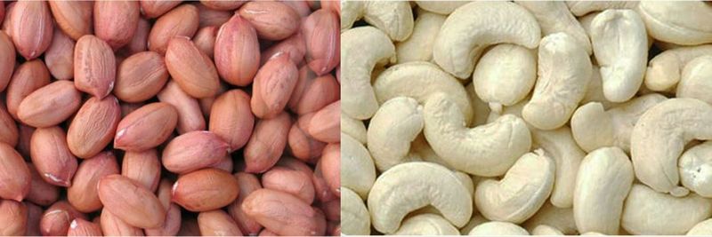PAN Agri Export - supplier and manufacturer from 인도