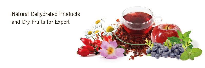 PUELCHE FRESH LTDA - supplier and manufacturer from 칠레