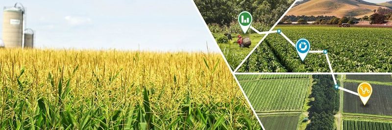 Zafra - supplier and manufacturer from 남아프리카공화국