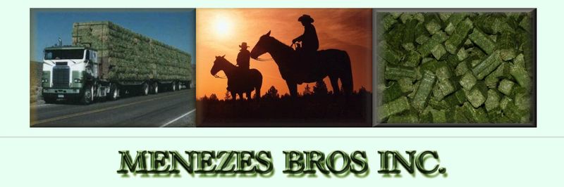 Menezes Brothers, Inc - supplier and manufacturer from United States