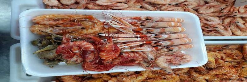 Pescados Y Mariscos Chica S.l. - supplier and manufacturer from Spain
