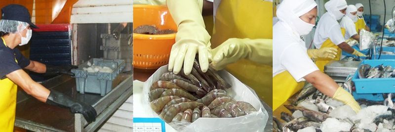 PACFISH S.A. - supplier and manufacturer from 에콰도르